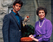 Lorenzo Lamas & Jane Wyman in Falcon's Crest Poster and Photo
