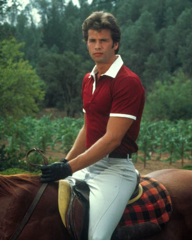 Lorenzo Lamas in Falcon's Crest Poster and Photo