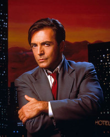 Armand Assante in Fatal Instinct Poster and Photo