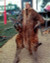 John Cleese in Fierce Creatures Poster and Photo