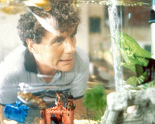 Michael Palin in A Fish Called Wanda Poster and Photo