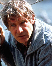 Harrison-Ford-in-The-Fugitive-Premium-Ph