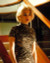 Rachel Weisz in Beautiful Creatures Poster and Photo