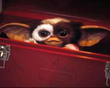 Gremlins 2 : The New Batch Poster and Photo