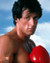 Sylvester Stallone in Rocky III Poster and Photo