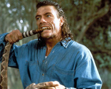 Jean-Claude Van Damme in Hard Target Poster and Photo