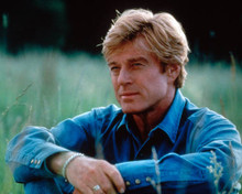 Robert Redford in The Horse Whisperer Poster and Photo