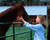 Scarlett Johansson in The Horse Whisperer Poster and Photo