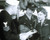 Cary Grant & Ann Sheridan in I Was a Male War Bride Poster and Photo