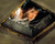 Annette Bening in In Dreams Poster and Photo