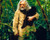 Anthony Hopkins in Instinct Poster and Photo