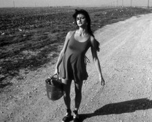 Penelope Cruz in Jamon Jamon Poster and Photo