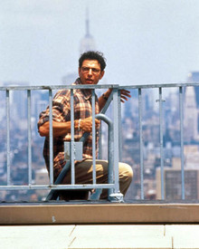 Jeff Goldblum in Independence Day Poster and Photo