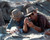 Sam Neill & Laura Dern in Jurassic Park Poster and Photo