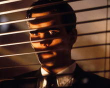 Matt Dillon in A Kiss Before Dying Poster and Photo