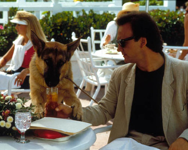 James Belushi in K-9 Poster and Photo