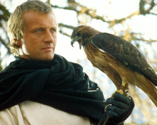 Rutger Hauer in Ladyhawke Poster and Photo