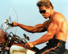 Arnold Schwarzenegger Poster and Photo