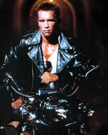 Arnold Schwarzenegger Poster and Photo