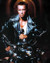Arnold Schwarzenegger Poster and Photo