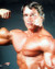 Arnold Schwarzenegger Poster and Photo