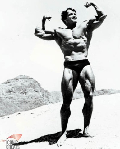 Arnold Schwarzenegger Poster and Photo