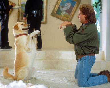 Emilio Estevez in National Lampoon's Loaded Weapon Poster and Photo