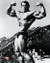 Arnold Schwarzenegger Poster and Photo