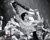 Sylvester Stallone in Rocky IV Poster and Photo