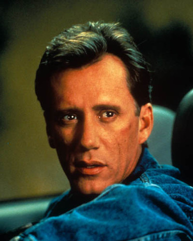 James Woods in Midnight Sting a.k.a. Diggstown Poster and Photo