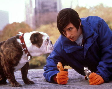 Adam Sandler in Little Nicky Poster and Photo