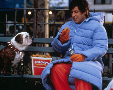 Adam Sandler in Little Nicky Poster and Photo