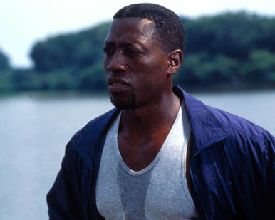 Wesley Snipes in Murder at 1600 Poster and Photo