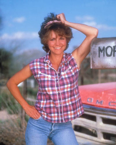 Sally Field in Murphy's Romance Poster and Photo