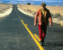 River Phoenix in My Own Private Idaho Poster and Photo