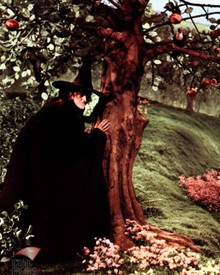 Margaret Hamilton in The Wizard of Oz Poster and Photo