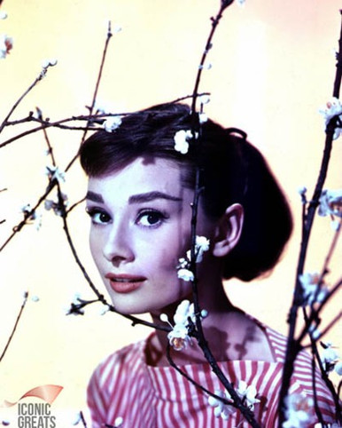 Audrey Hepburn Poster and Photo