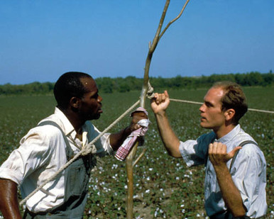 John Malkovich & Danny Glover in Places in the Heart Poster and Photo