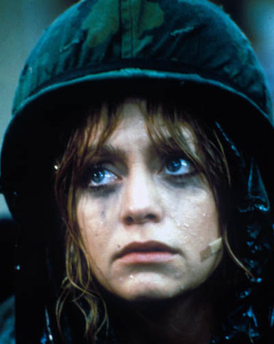 Goldie Hawn in Private Benjamin Poster and Photo