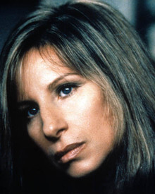 Barbra Streisand in Prince of Tides Poster and Photo