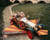 Dick Van Dyke & Heather Ripley in Chitty Chitty Bang Bang Poster and Photo