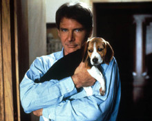 Harrison Ford in Regarding Henry Poster and Photo