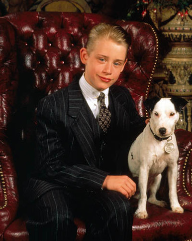 Macaulay Culkin in Richie Rich Poster and Photo