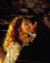 Liam Neeson & Jessica Lange in Rob Roy Poster and Photo