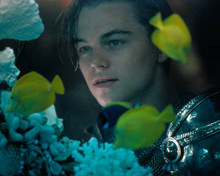 Leonardo DiCaprio in William Shakespeare's Romeo and Juliet a.k.a. Romeo and Juliet Poster and Photo