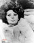 Sophia Loren in Arabesque Poster and Photo