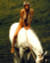 Bo Derek in Bolero Poster and Photo