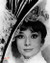 Audrey Hepburn in My Fair Lady Poster and Photo