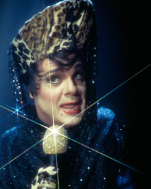 Nathan Lane in The Birdcage Poster and Photo