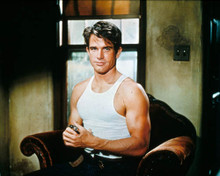 Warren Beatty in Bonnie and Clyde Poster and Photo